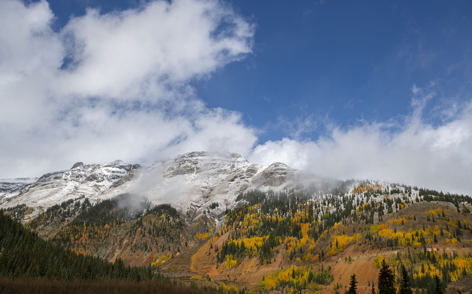 09_29_21 aspens 01519.jpg